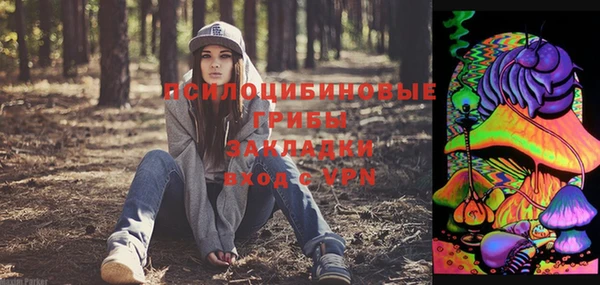 соль курить ск Костерёво