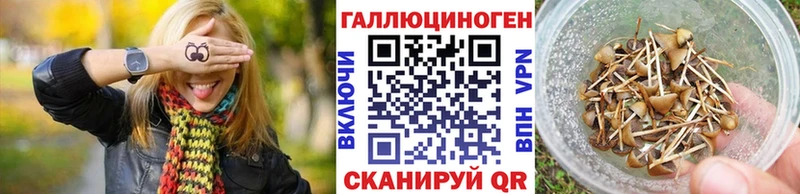 Псилоцибиновые грибы MAGIC MUSHROOMS Купить Новомичуринск